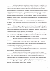 www.speros.lt